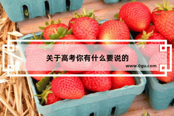 关于高考你有什么要说的