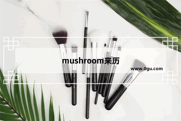 mushroom来历