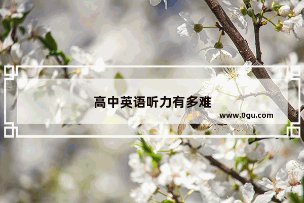 高中英语听力有多难