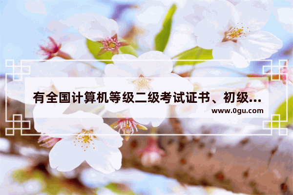 有全国计算机等级二级考试证书、初级会计证、英语六级证和日语一级证的人 能找到一个什么样的工作