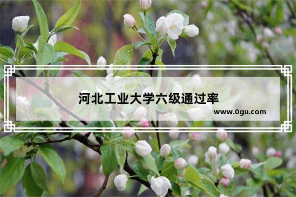 河北工业大学六级通过率