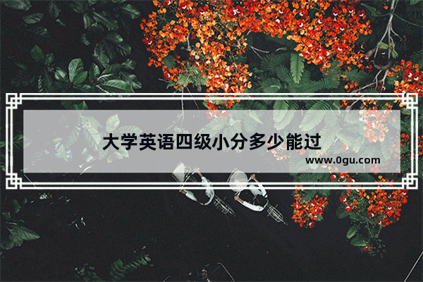 大学英语四级小分多少能过