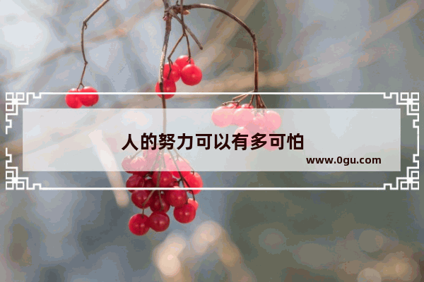 人的努力可以有多可怕