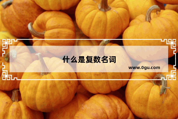 什么是复数名词