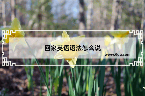 回家英语语法怎么说
