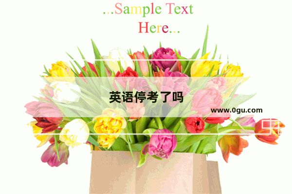 英语停考了吗