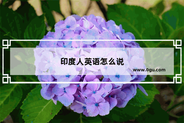 印度人英语怎么说