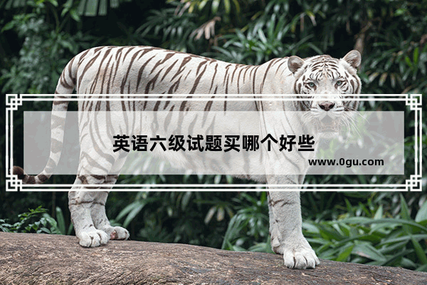 英语六级试题买哪个好些