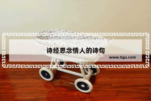 诗经思念情人的诗句