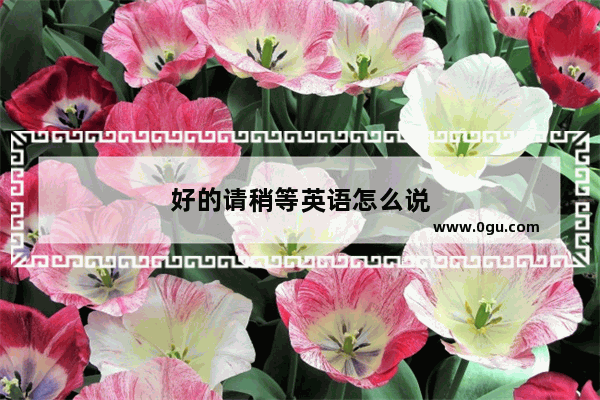好的请稍等英语怎么说