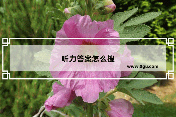听力答案怎么搜