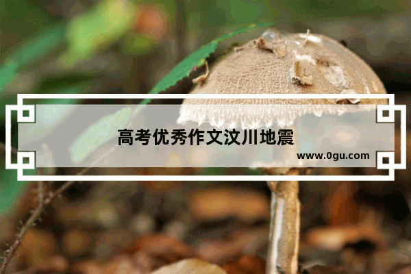 高考优秀作文汶川地震