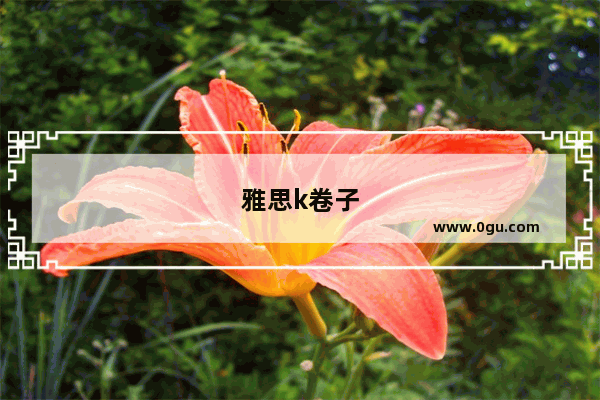雅思k卷子