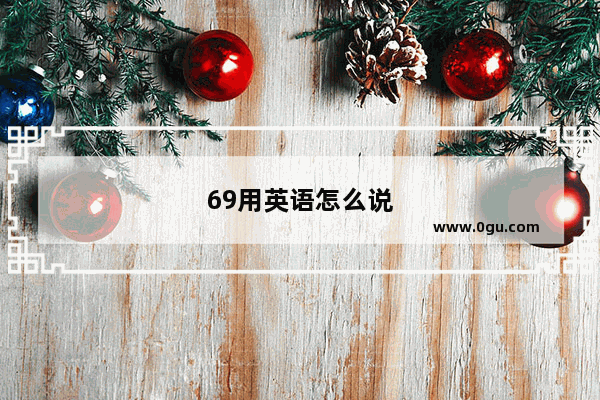 69用英语怎么说