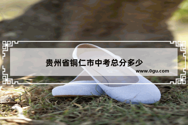 贵州省铜仁市中考总分多少