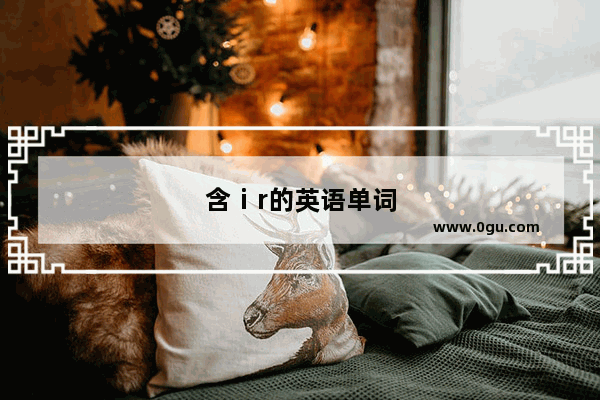 含ⅰr的英语单词