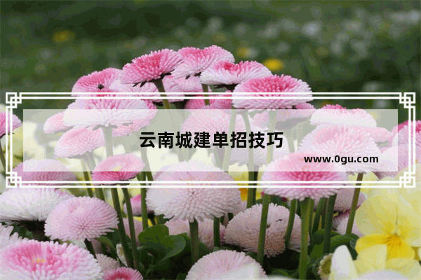 云南城建单招技巧
