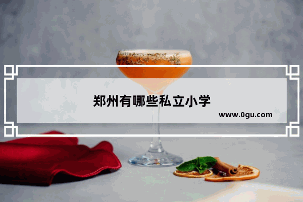 郑州有哪些私立小学