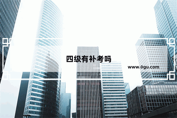 四级有补考吗