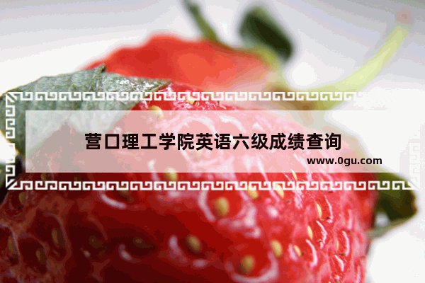 营口理工学院英语六级成绩查询