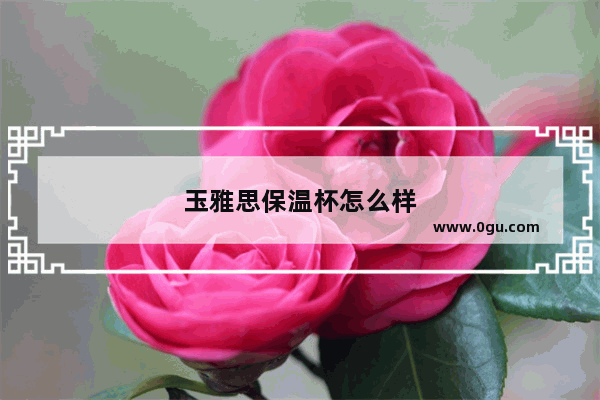 玉雅思保温杯怎么样