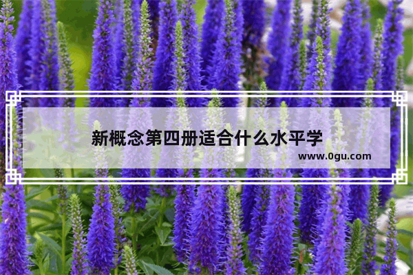 新概念第四册适合什么水平学