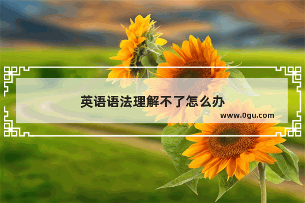 英语语法理解不了怎么办