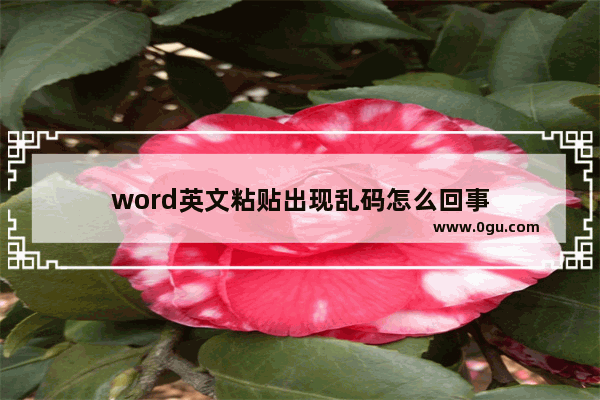 word英文粘贴出现乱码怎么回事