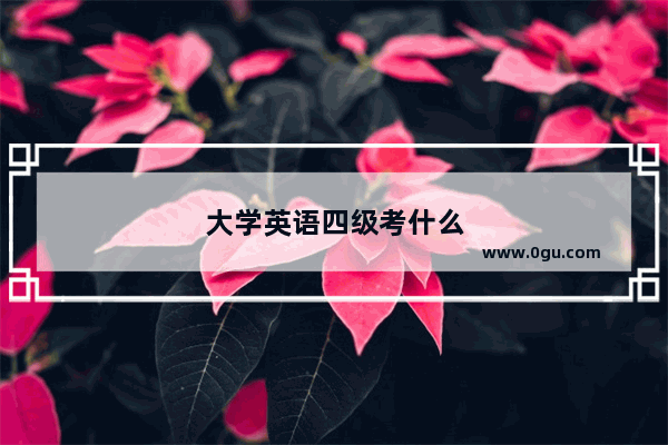 大学英语四级考什么