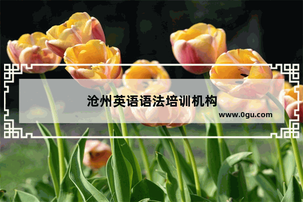 沧州英语语法培训机构