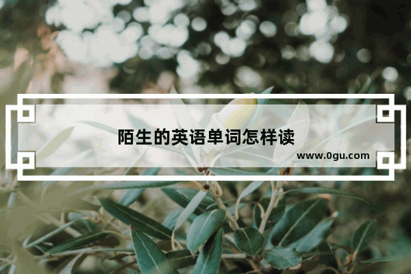 陌生的英语单词怎样读