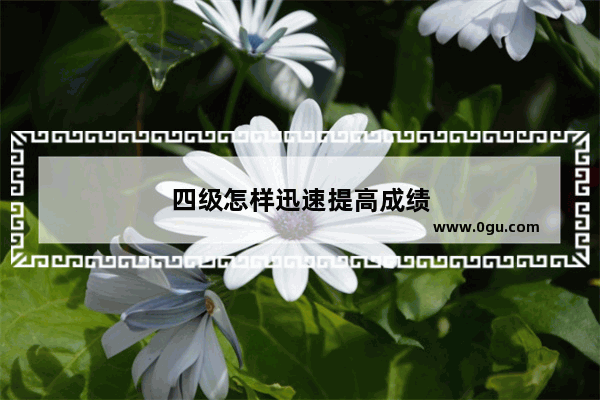 四级怎样迅速提高成绩
