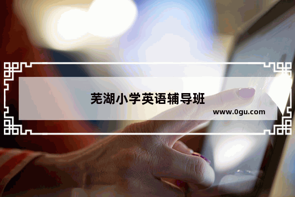 芜湖小学英语辅导班