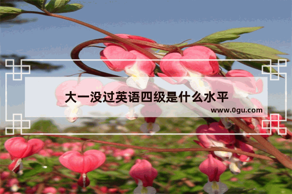 大一没过英语四级是什么水平