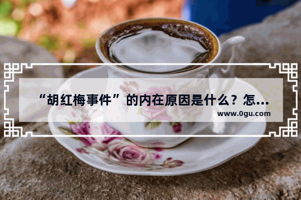 “胡红梅事件”的内在原因是什么？怎样避免此类事件再出现