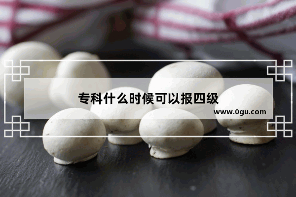 专科什么时候可以报四级