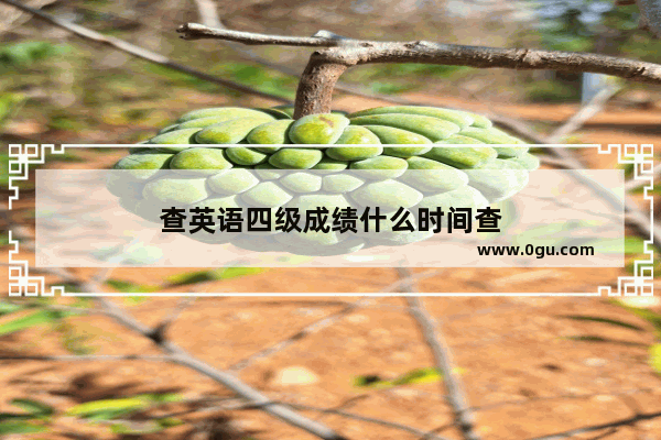 查英语四级成绩什么时间查