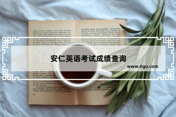 安仁英语考试成绩查询