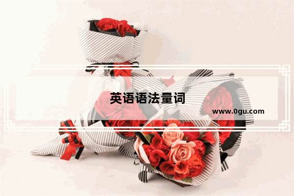 英语语法量词