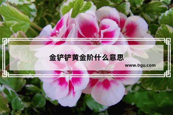 金铲铲黄金阶什么意思