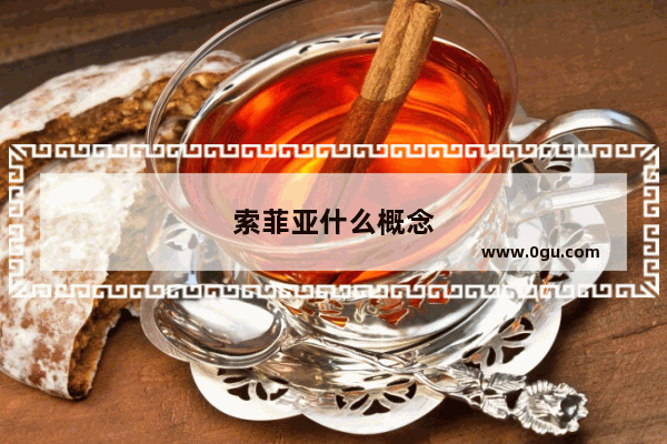 索菲亚什么概念