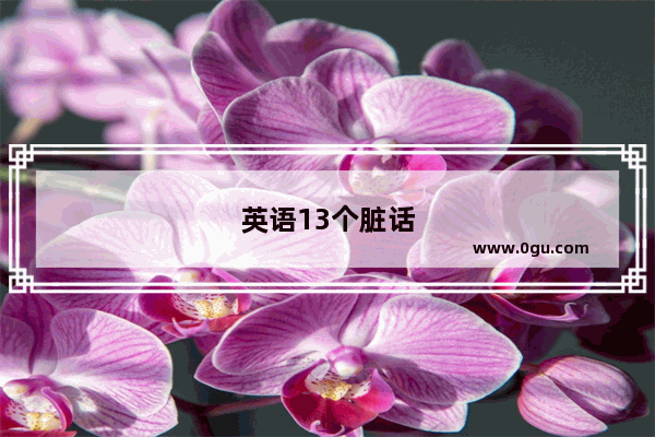 英语13个脏话