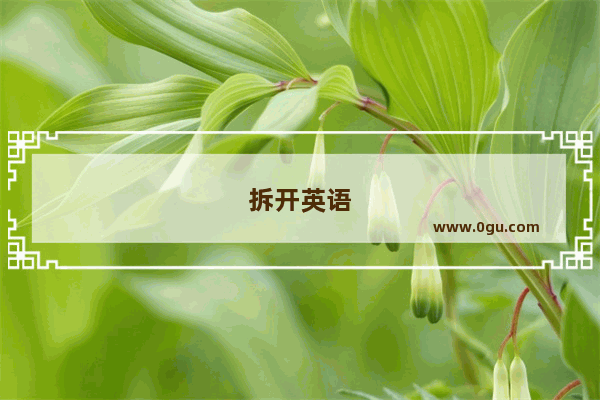 拆开英语