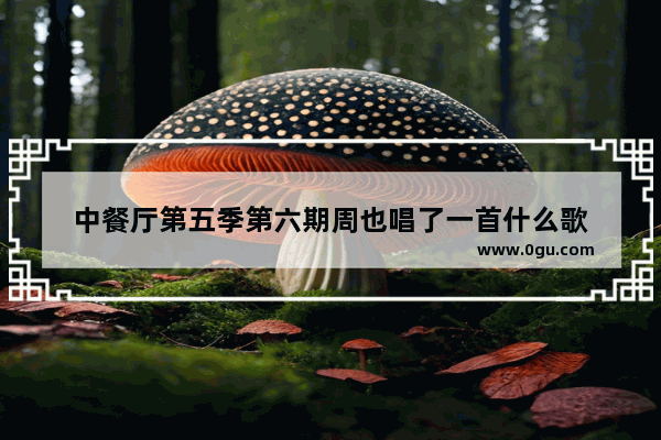 中餐厅第五季第六期周也唱了一首什么歌