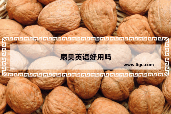 扇贝英语好用吗