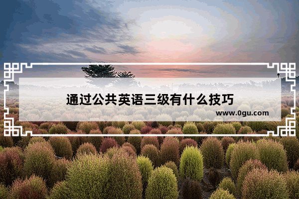 通过公共英语三级有什么技巧