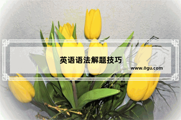 英语语法解题技巧