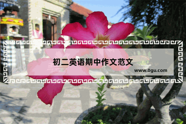 初二英语期中作文范文