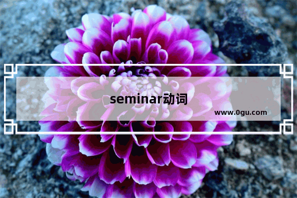 seminar动词