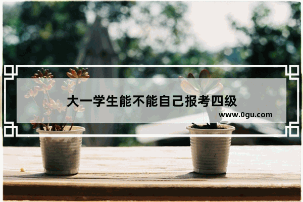 大一学生能不能自己报考四级